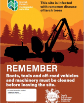 Phytophthora ramorum disease biosecurity poster for forestry workers 